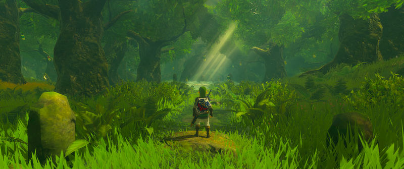 Illustration for article titled Breath Of The Wild Is Now Looking Even Better On PC